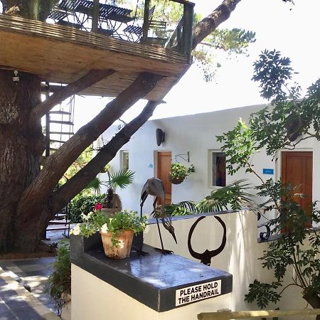 Oceangolf Guest House Noordhoek Zewnętrze zdjęcie