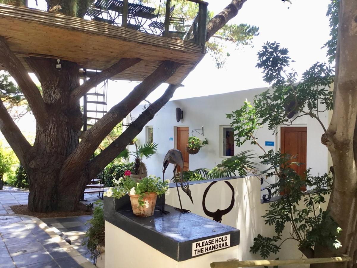 Oceangolf Guest House Noordhoek Zewnętrze zdjęcie