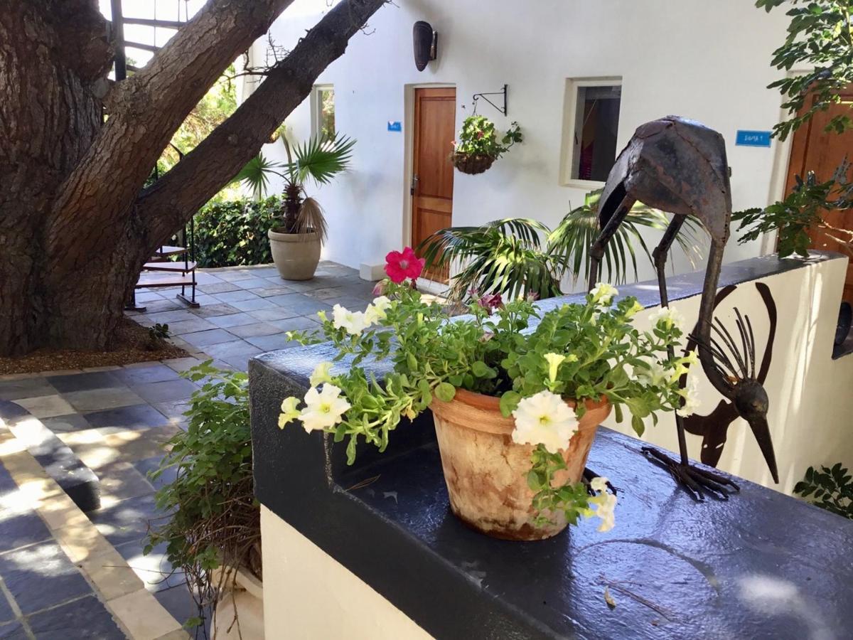 Oceangolf Guest House Noordhoek Zewnętrze zdjęcie
