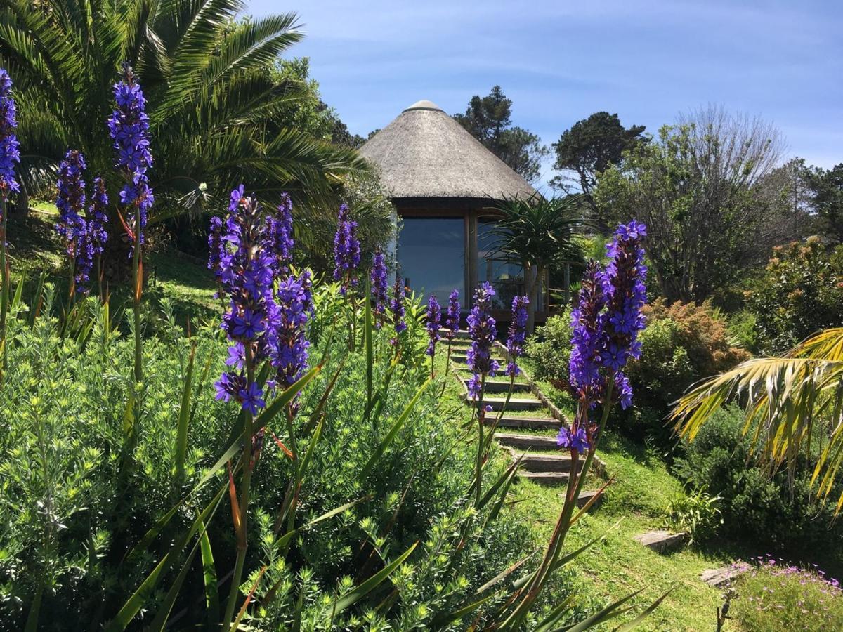 Oceangolf Guest House Noordhoek Zewnętrze zdjęcie